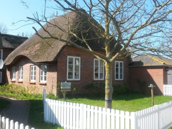 Halligschule auf Oland, kleines reetgedecktes Haus mit Baum im Vorgarten