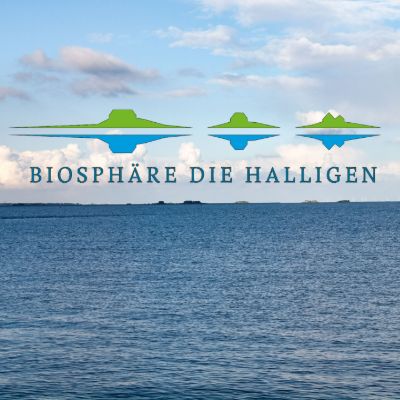 Bild mit Logo der Biosphäre Die Halligen